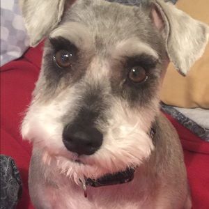 Meet your Posher, Sandra